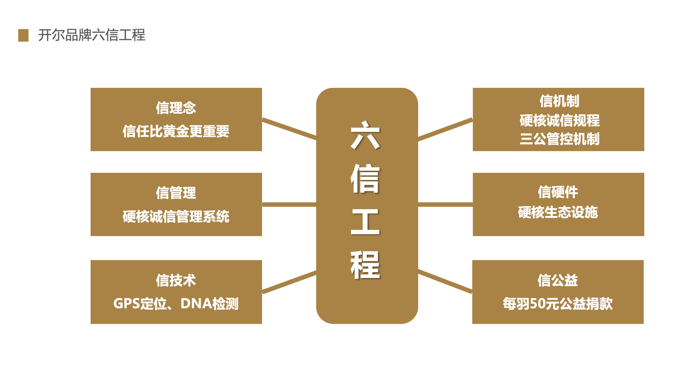 WX20241219-141301@2x.png