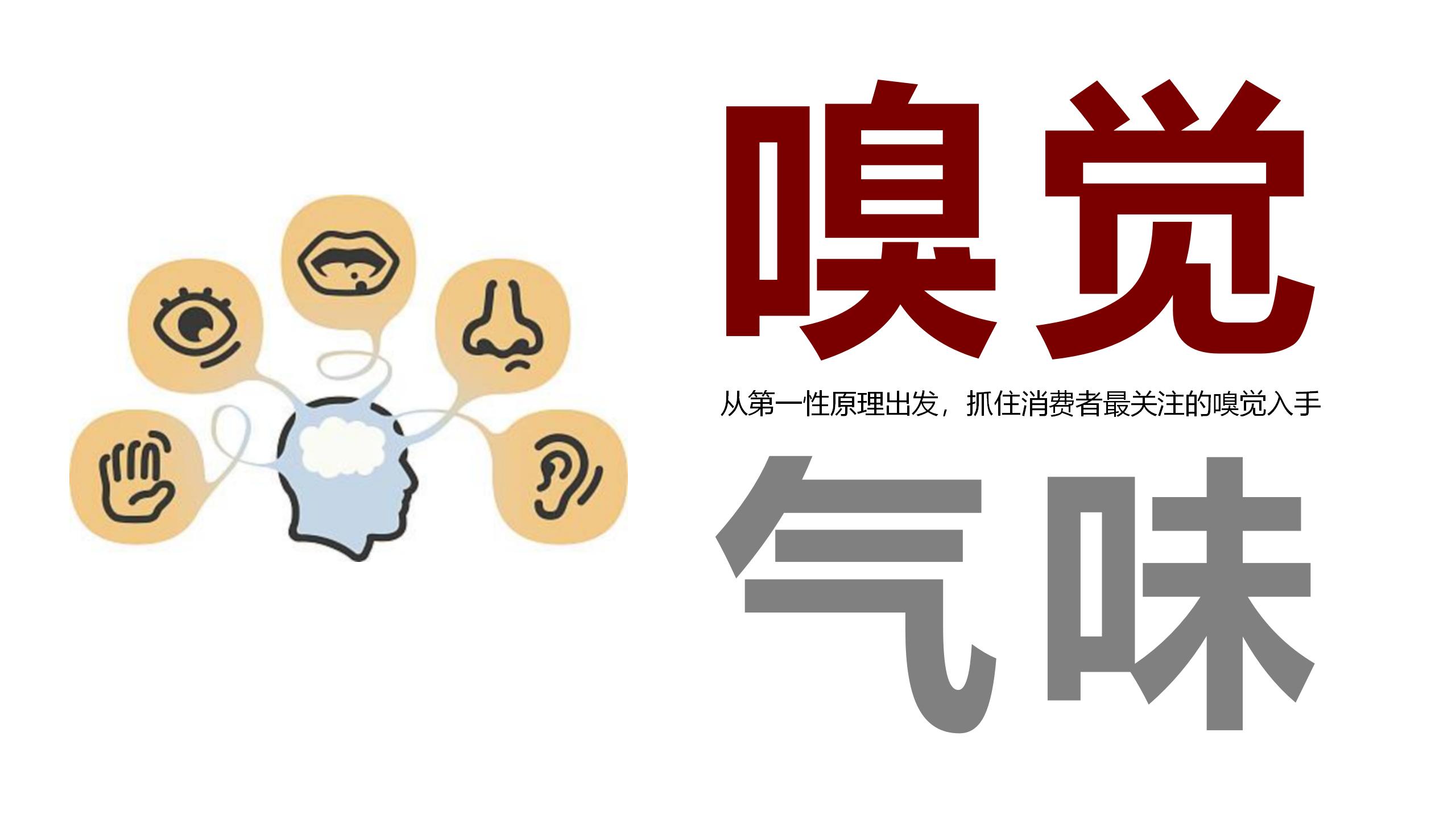 方西瓜品牌策略-20200809（STDP定位+廣告語(yǔ)）_01(2).jpg